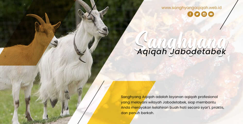 artikel aqiqah